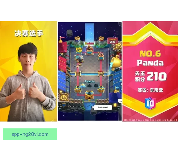 四保险全力冲击第四金空技赛